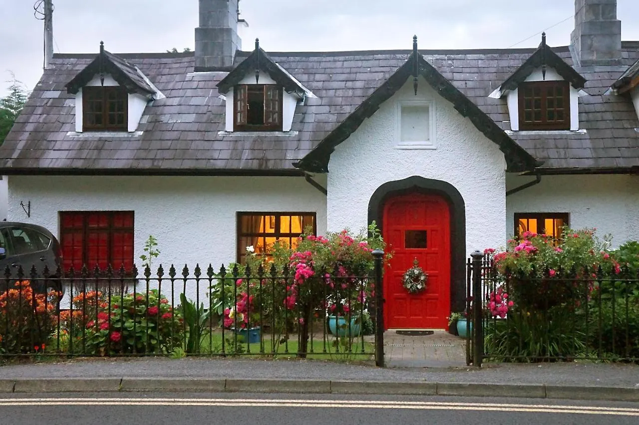 Ivy Cottage B&B Cill Airne
