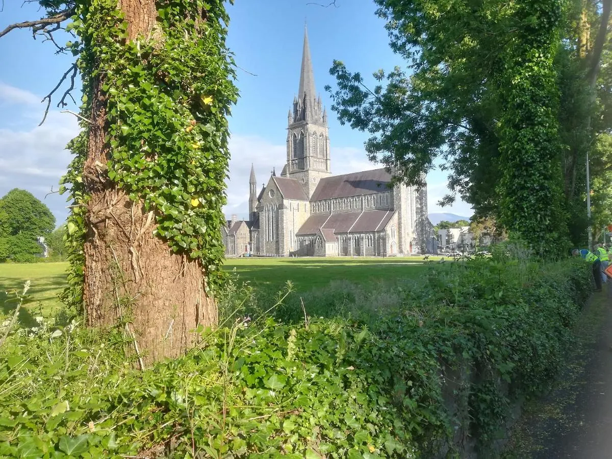 Ivy Cottage B&B Cill Airne 0*,  Irland