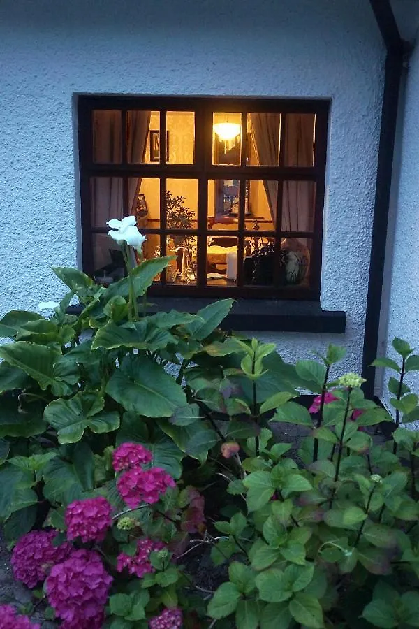Bed & Breakfast Ivy Cottage B&B Cill Airne